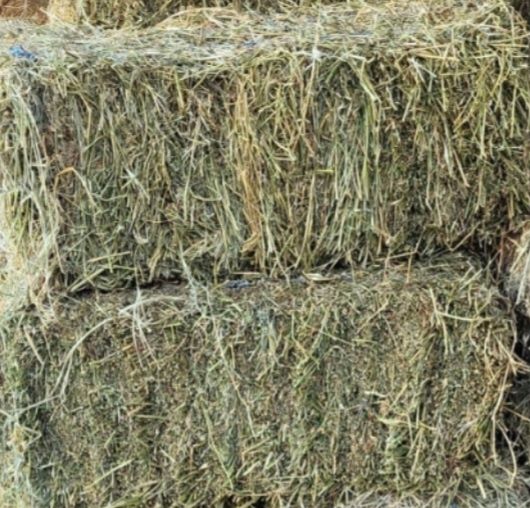 Baloți de lucernă și fân