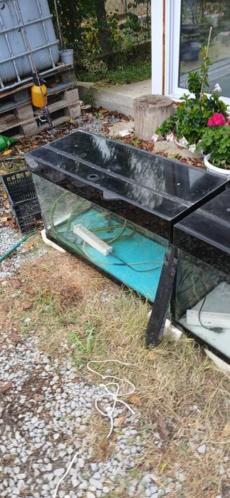 Два аквариума за рибки