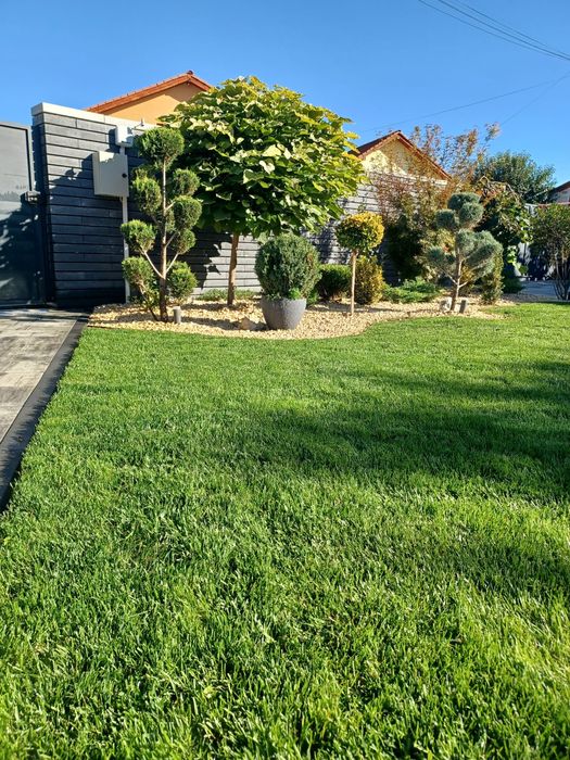 Irigații • Gazon ruloui • Platări tuia• Tuns iarba