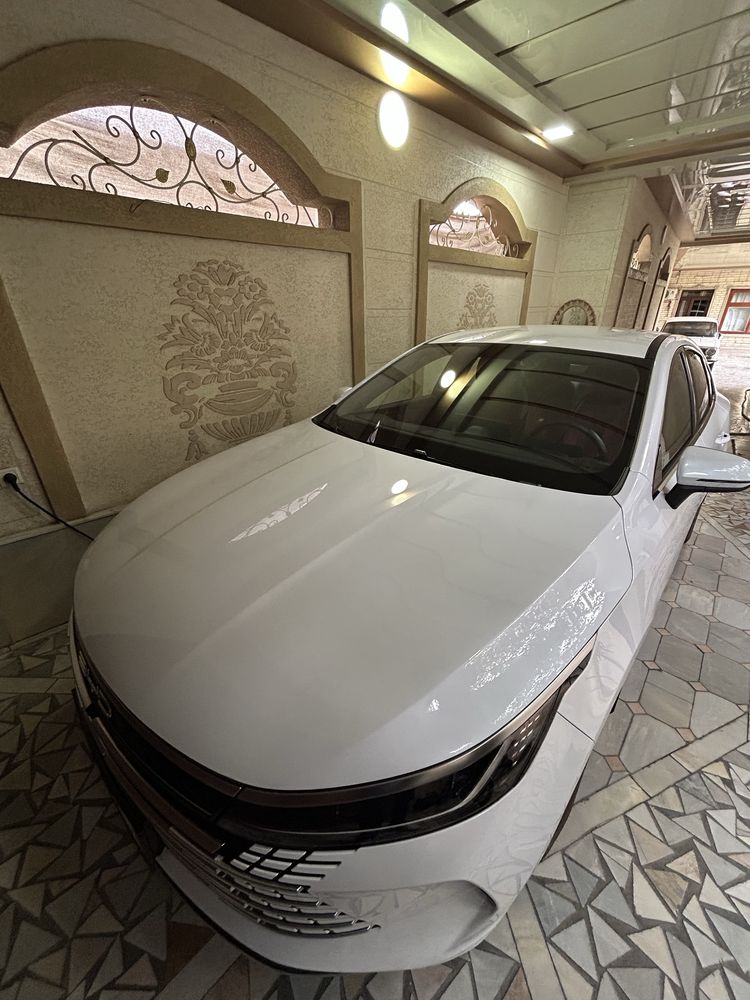 2024 BYD Chazor Gibrid 55km