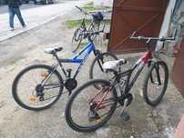 Biciclete adulti-copii-import