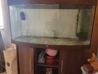 Vand acvariu JUWEL 250