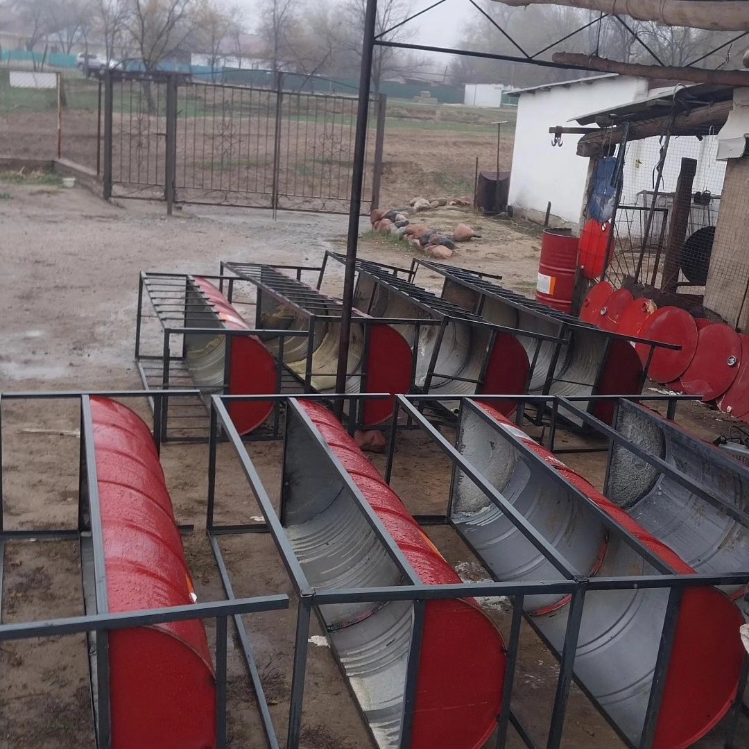 Астау науа қой сиыр жылқы