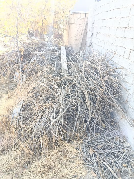 Ôtin sotiladi narxini kelishamiza