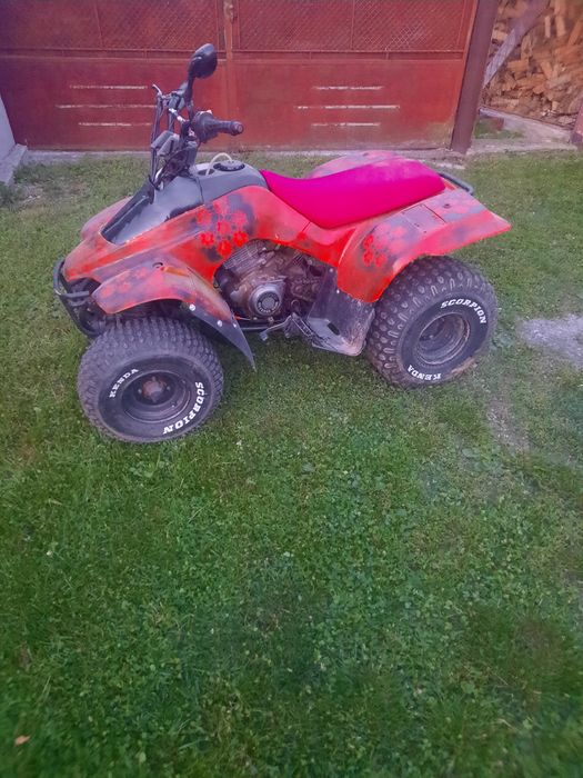 Suzuki quadrunner