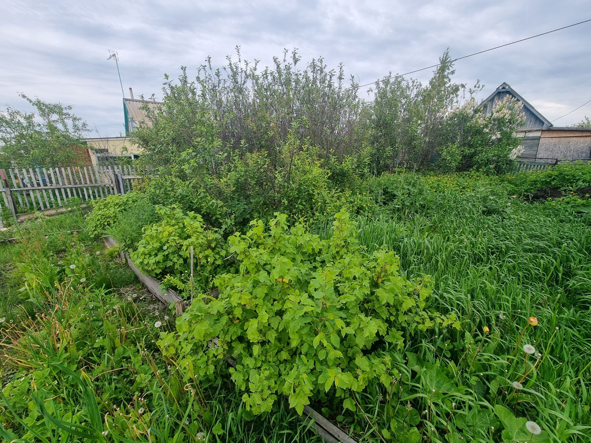 Продам дачу в Новопавловке. Д.О. Романтик