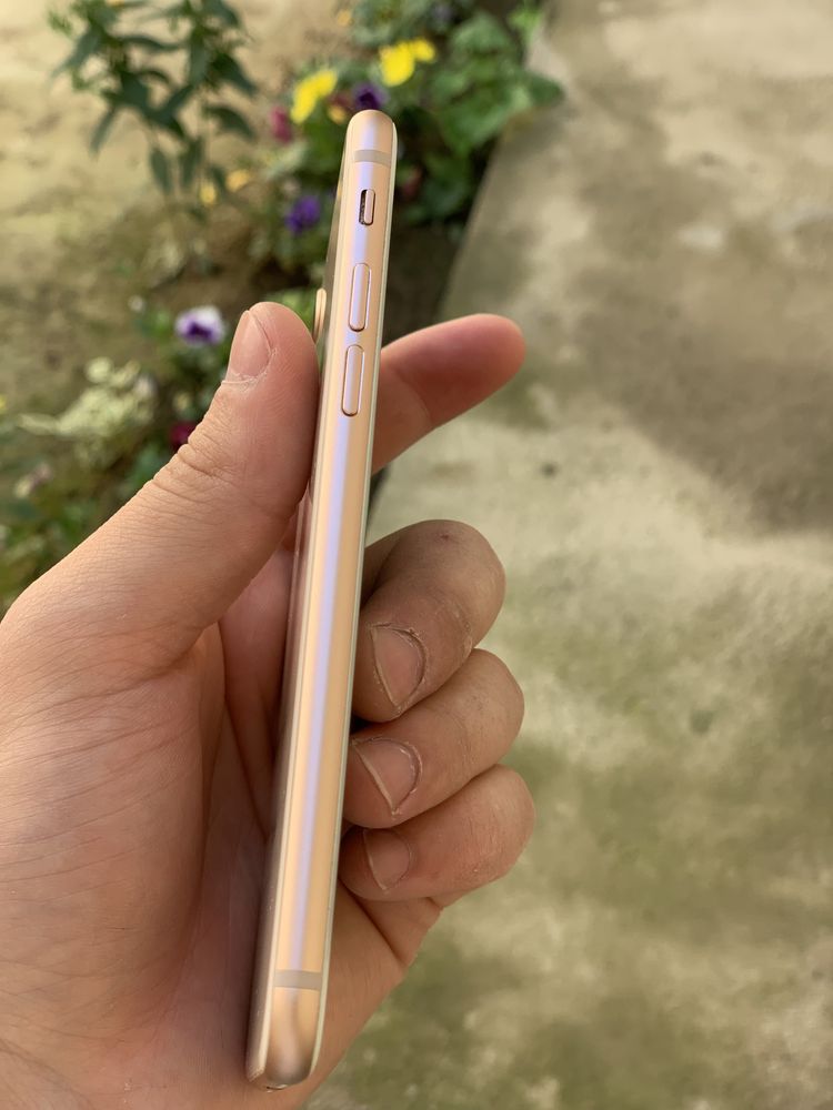 iphone 8 gold 64