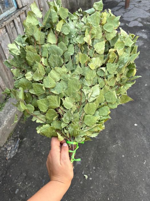 Продам веник березовый банный.