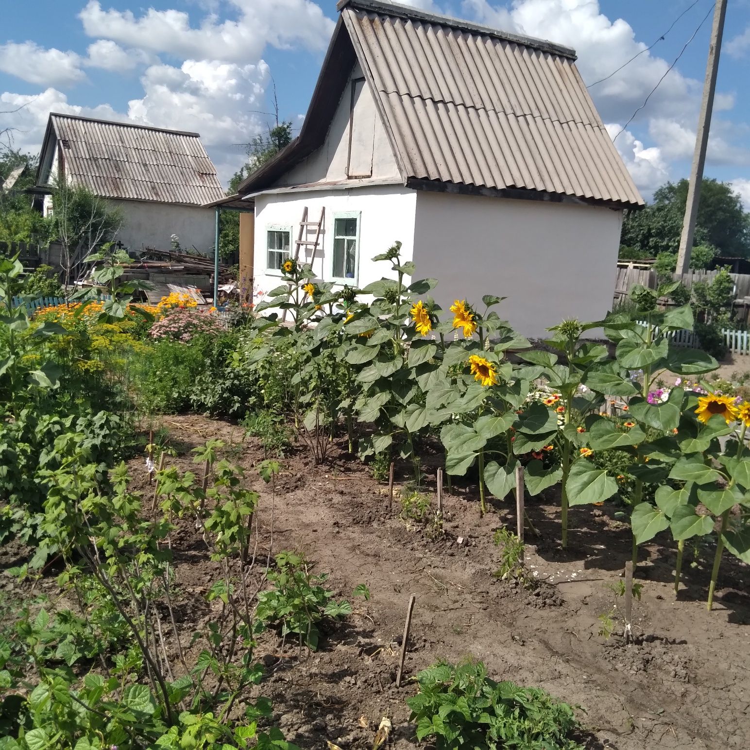 Продаём дачу в "Черемушках"