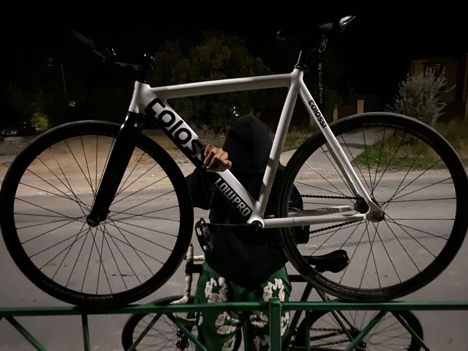 Colossi low pro White