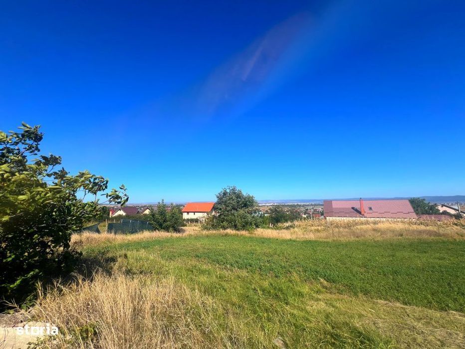 Teren intravilan - 1500 mp, Luizi-Calugara