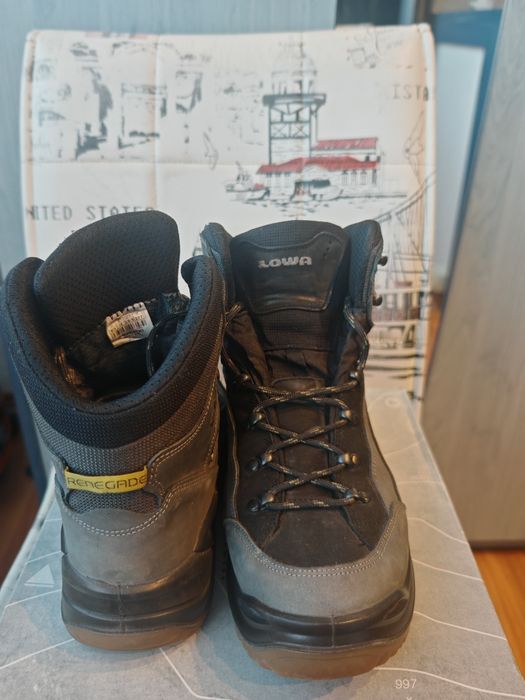 Ghete Lowa Renegade Gtx