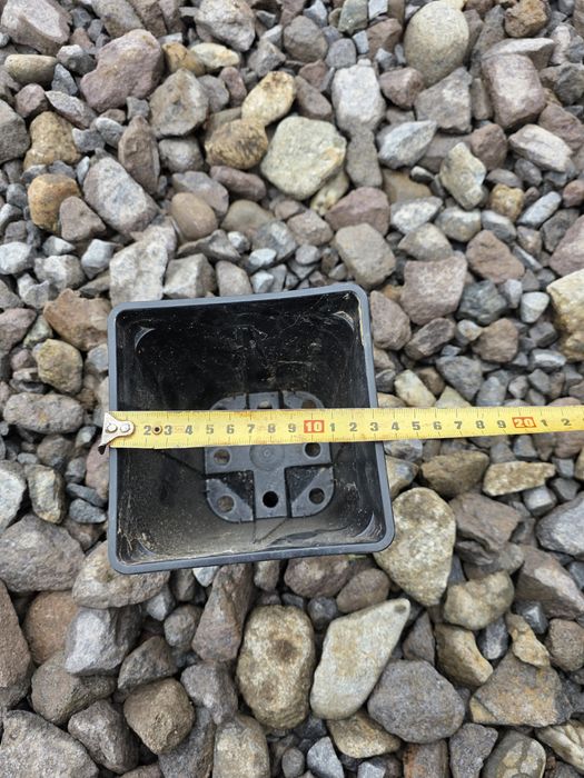 Ghiveci pt trandafiri