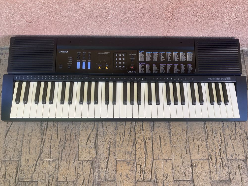 Casio CTK-530 orga electronica