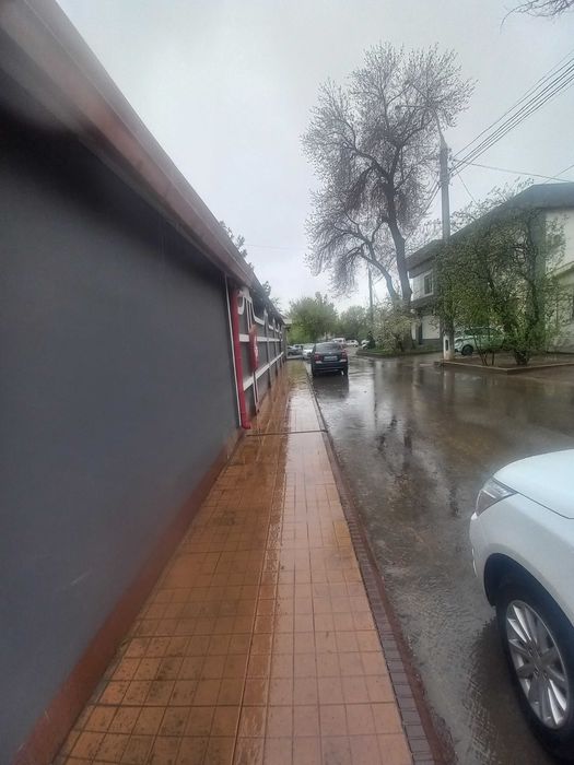 Пушкин  метро   под  клиника   офис