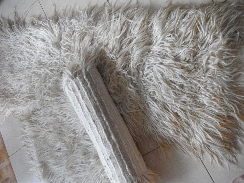 Китеници с дълъг косъм