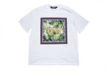 Just Cavalli - мъжки тениски, размери S ,XL, XXL (regular fit)