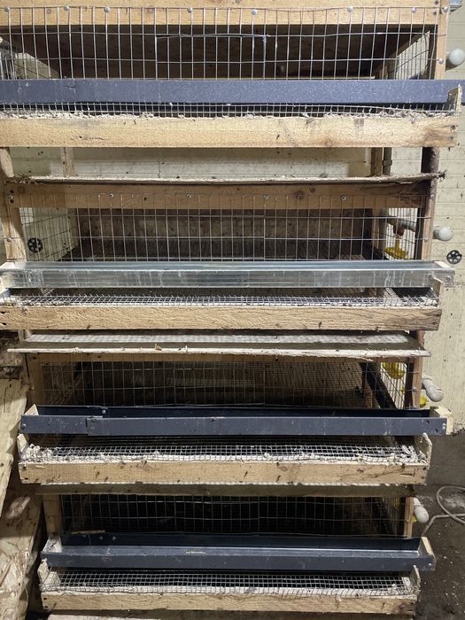 сетка для перепелок