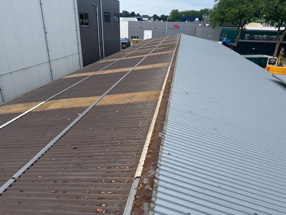 Tabla ondulata Import Olanda