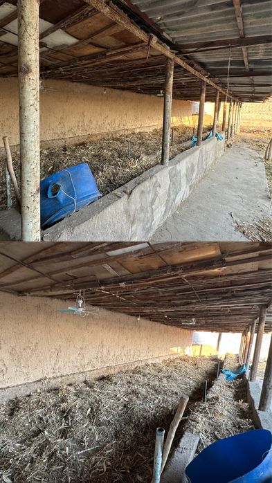 Продается участок в Борданколе Бардонкол Бордонкул бизнес