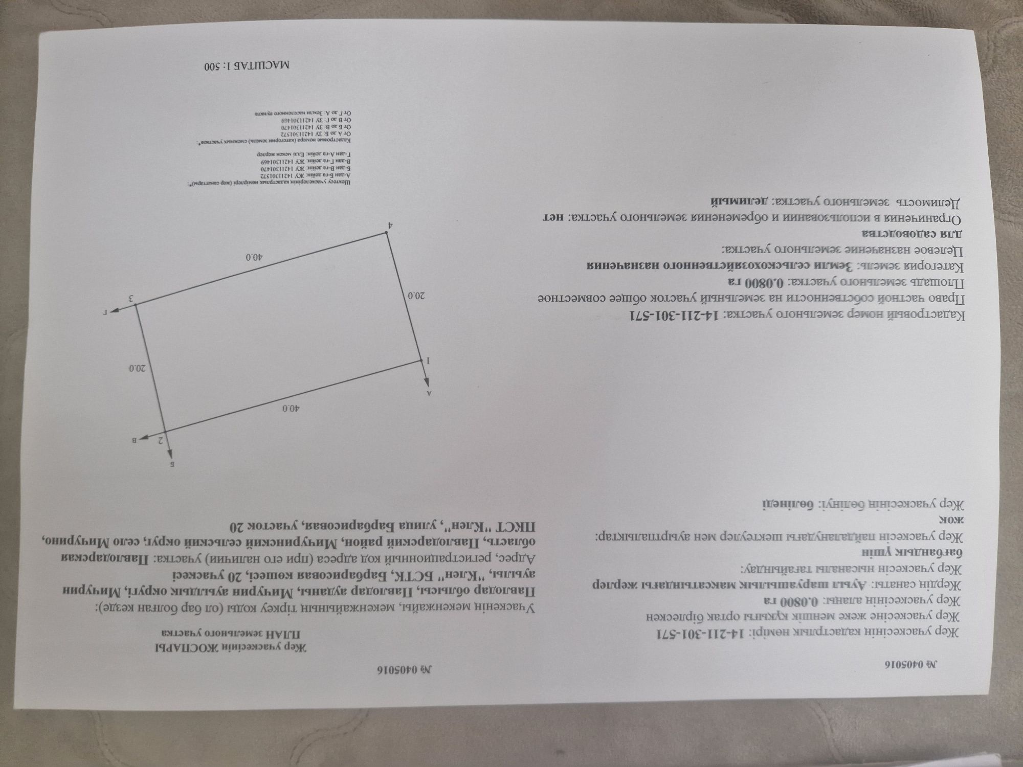 Продам два участка  садоводство клён