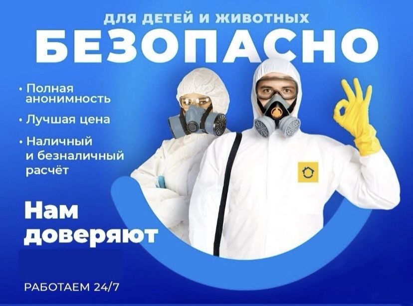 Дезинфекция Помещений Квартир Домы От Тараканаов Клопов Насекомых