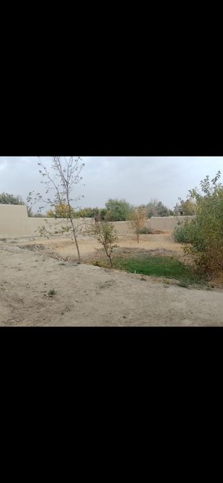 Uy sotiladi  9 sotix