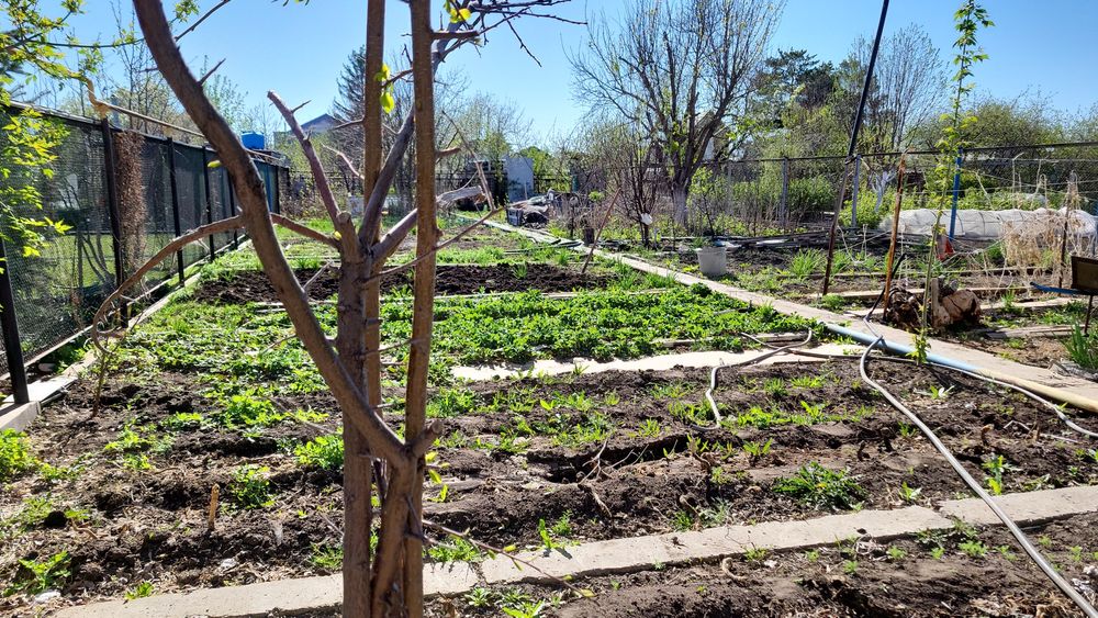 Дача в дк Строитель