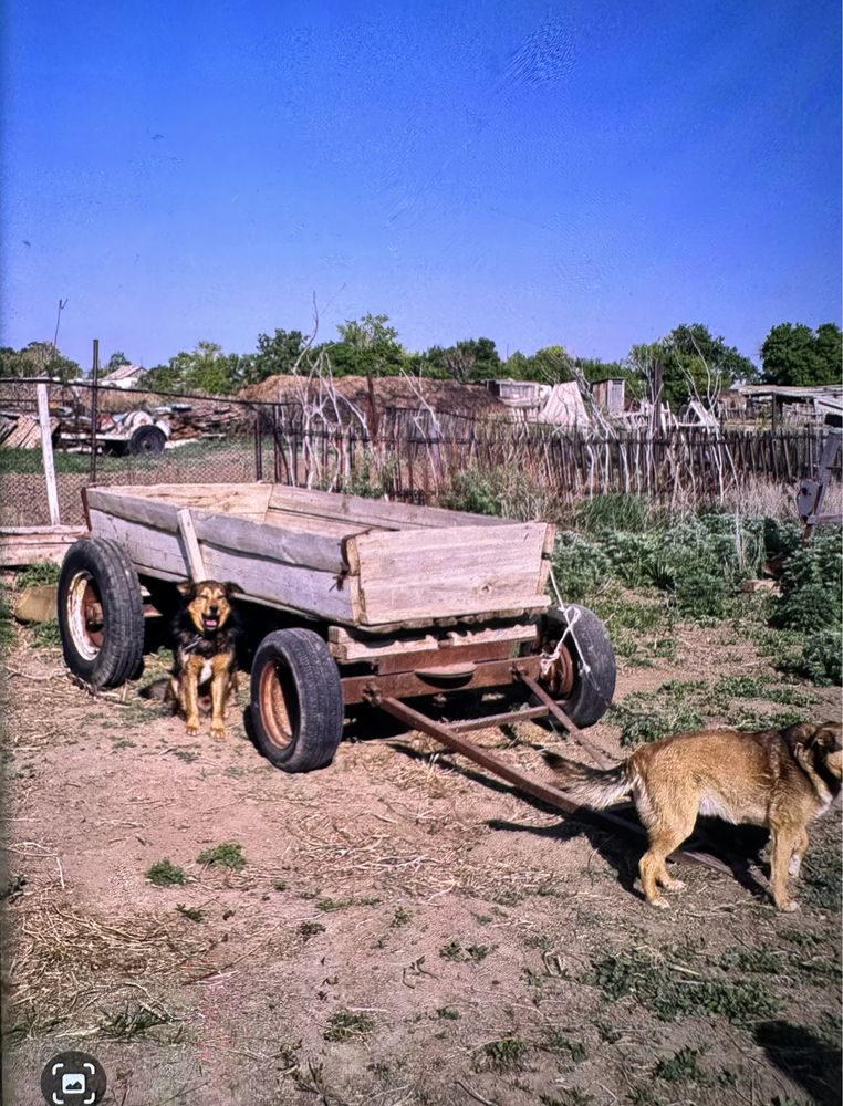 Срочно продам трактор синий Т40 ( документы на руках )