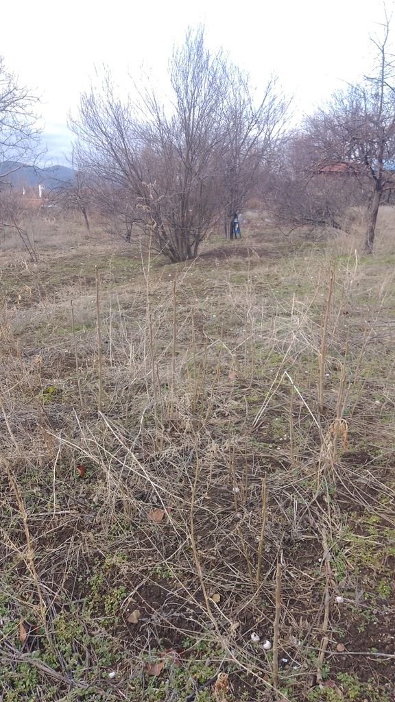 Продава се Парцел в с. Леденик, Област Велико Търново - 720 кв.м за 59 €/кв.м - Снимка #1