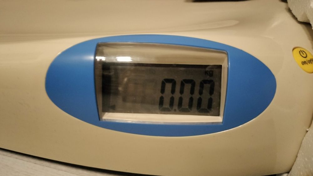 Cantar bebe Primii Pasi