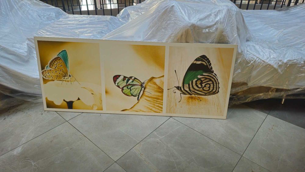 Разпродажба! Картини пеперуди