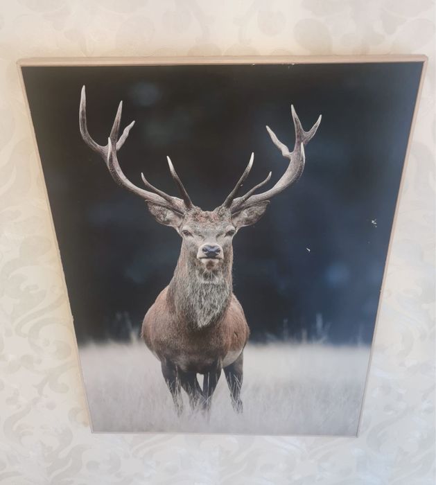 Антикварна фотография благороден елен рамкирана за закачане на стена