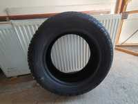 Anvelopa de iarna Semperit 185/65 R15