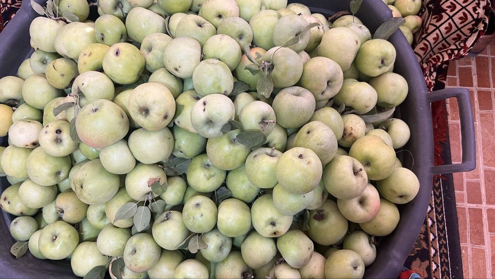 Продам очень вкусную яблоку. Кг 500 тг.