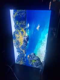 Vand TV LG OLED Model 55CX9, diagonala 140