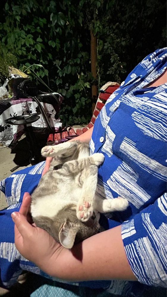 Кошечка ласковая