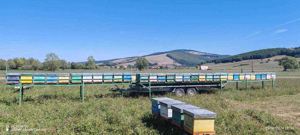 Platformă auto  Apicultor 2700kg
