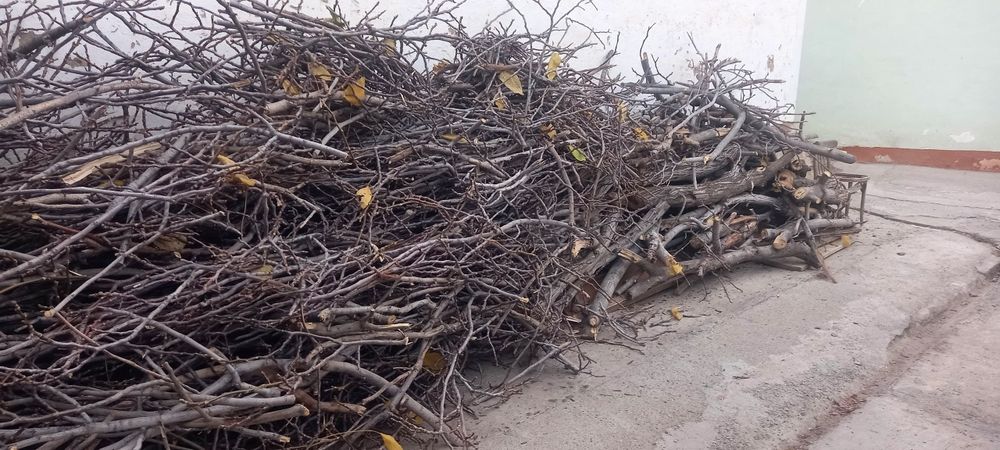 Продам дрова от орехового дерева и остальное