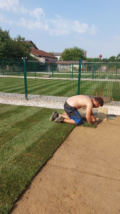 Gazon rulou montaj gazon