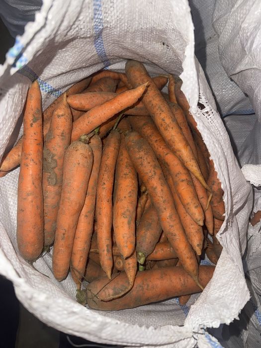 Vand morcov, patrunjel, pastarnac