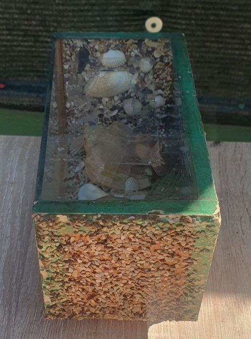 Lucru Manual facut cu Scoici