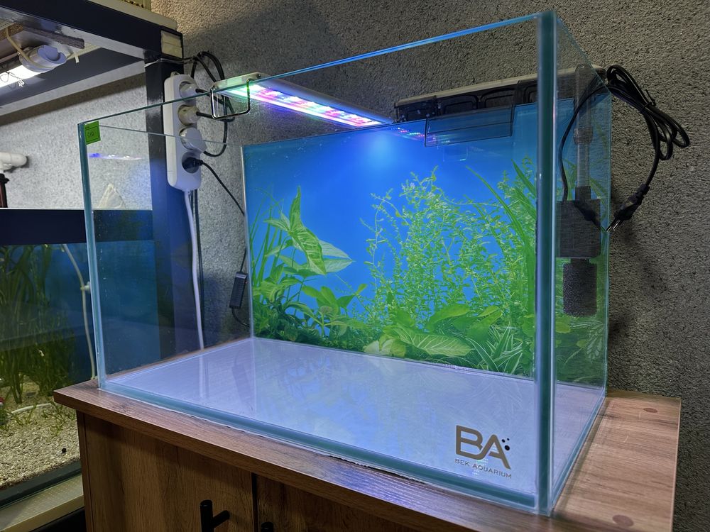 Akvarium Bek Aquarium 64L