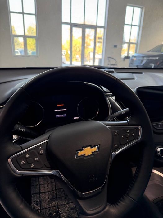 Malibu premier masla