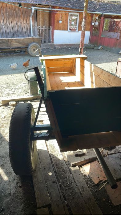 Caruta de vanzare sau schimb cu oaie breaza maxim 3 miei