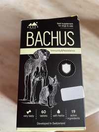 Backhus Допълваща храна за кучета и котки