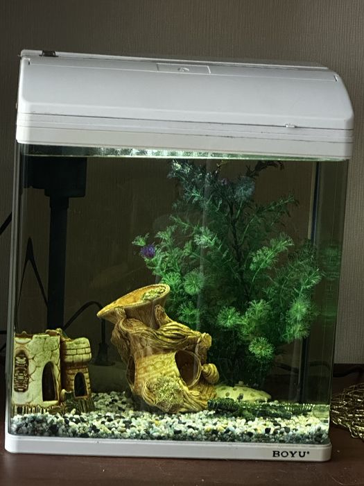 Продаю аквариум со всем наполнением