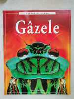 Gazele. Descopera lumea - Rosie Dickins