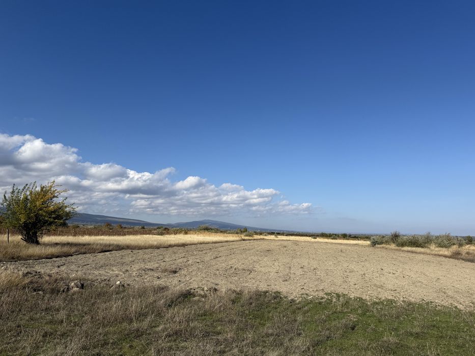 Teren extravilan Câmpineanca ( la iesire spre Carligele)3000 mp