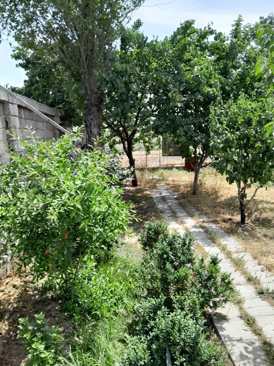 Продаю участок 6 соток Тузель ,парк Янги Узбекистан